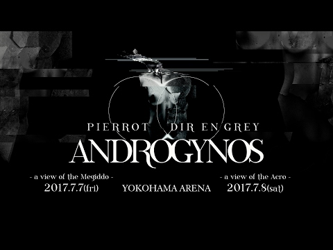 ANDROGYNOS 2017.2.12