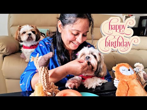 Baking cake for my puppy's birthday  | My Puppy's 7th Birthday Video