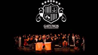 Tuna Recreativa Lyrics English Translation