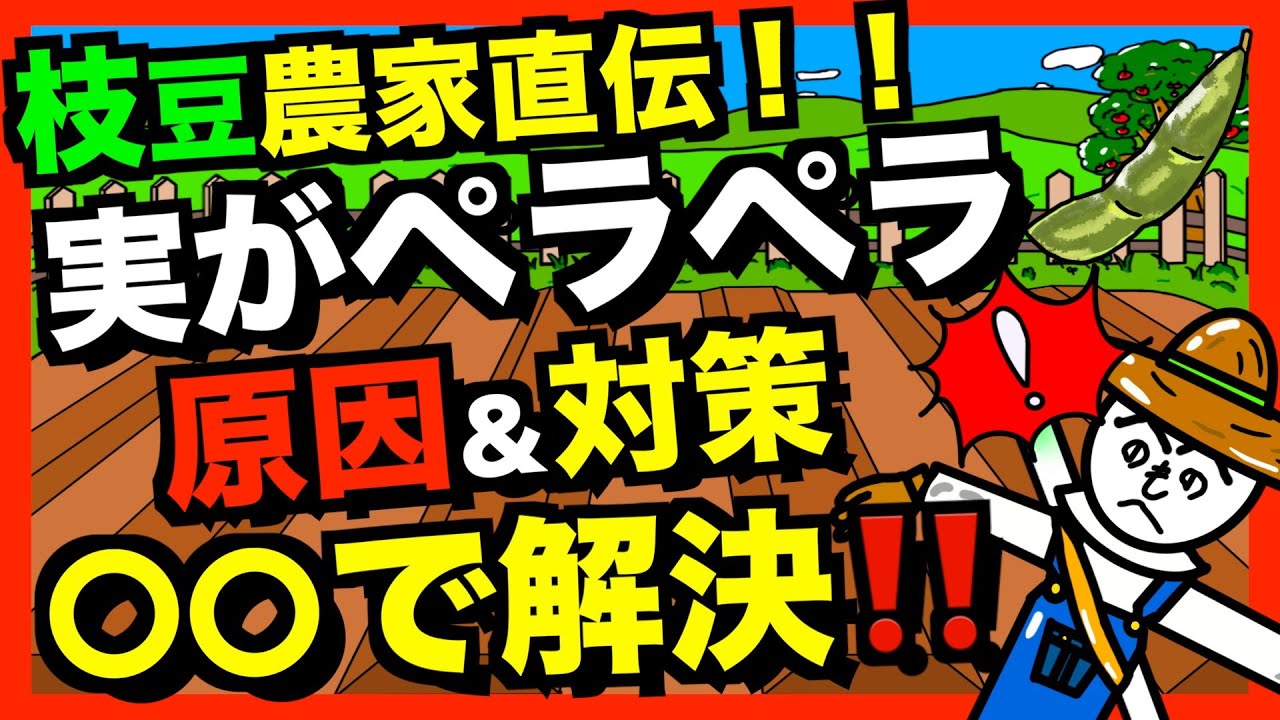 【枝豆農家伝授】実が膨れない失敗！原因と対策！！【アニメでわかる家庭菜園解説】