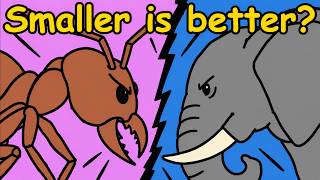 Why Are Small Animals So Strong? Relatively.