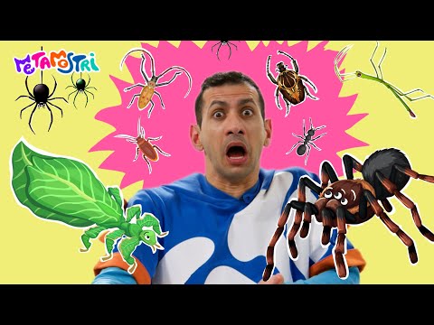 🪳🤢CHE SCHIFO GLI INSETTI PARTE 1 🕷️MONSTER X INTRAPPOLA TATA