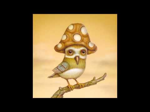 Kalilaskov AS -  Passion