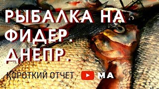 Отчеты рыбалка в ровно