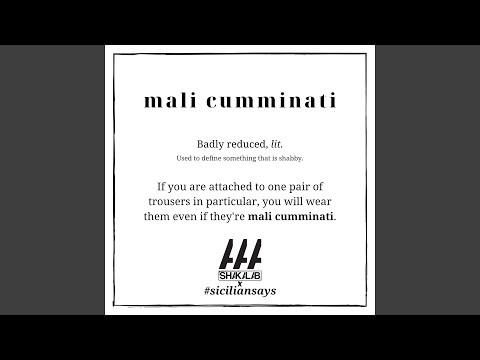 Mali Cumminati Freestyle