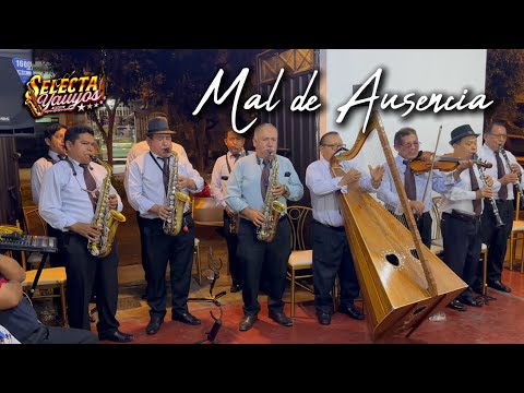Mal de Ausencia "Huayno del Recuerdo" al estilo Selecta Yauyos 🎷🎶
