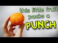 RANGPUR LIME Reviewing This Tasty But Powerful Citrus Weird Fruit Explorer