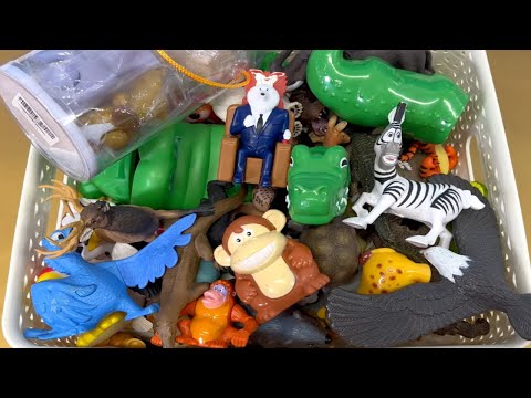 Lots of Wild Animal Toys 🐊 Collection For Kids