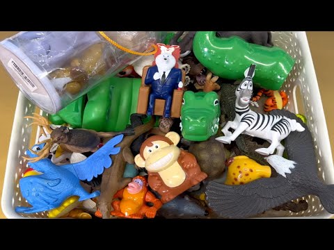 🐊 Huge Wild Animal Toy Collection! Learn Names & Facts for Kids