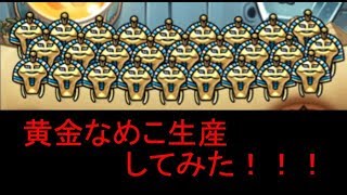 黄金なめこを生産して売り飛ばす！！！間違え探しもあるよ！『なめよん　なめこの脱出ゲーム』スマホゲーム実況　後編