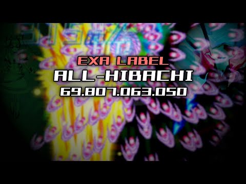 Dodonpachi Saidaioujou EXA Label ALL-Hibachi (Type-B, 69.80 billion)