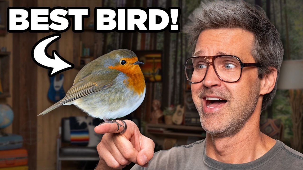 Should You Break Up Over A Bird?