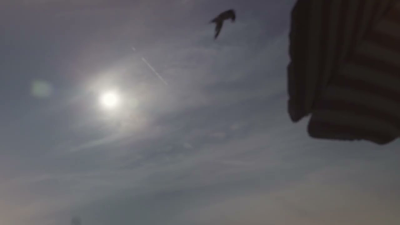 Interlude thumbnail