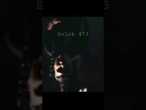 solek 473 en leo guanaguato