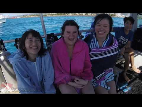 A group of new divers explores the Horseshoe Reef in Oahu, surrounded by tropical fish.