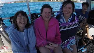 A white-tip reef shark rests peacefully under a lava rock ledge in Honolulu.