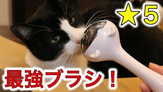 大人気の犬猫うさぎ用ペットブラシが凄すぎた！