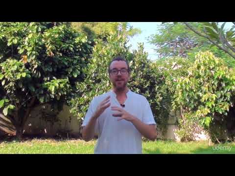 Develop Your Intuition in 5 Easy Steps : Lesson 1 - Authentic Vibration