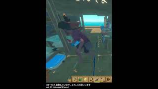 【Raft】イカリ用の穴から出入りするとんこつさん | #kumichanko_game_jp (#Twitch)