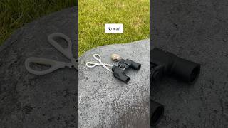 Download lagu Paper's Ultimate Flight ✈️ #rockpaperscissors mp3 Download lagu Paper's Ultimate Flight ✈️ #rockpaperscissors mp3