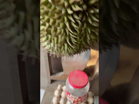 The Smelliest Fruit in the World #shortvideo #shorts #durian #fruit #viral