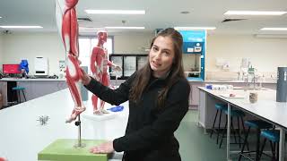 Behind the Scenes: CSU | Graduate Tour | Exercise Science