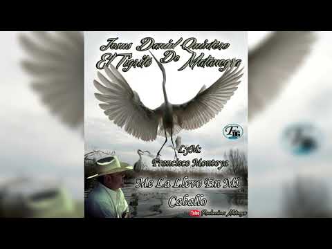 Me La Llevo En Mi Caballo - Jesús Daniel Quintero El Tigrito De Matanegra