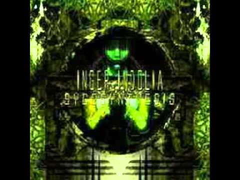 Inger Indolia - Momentum Of Atrophy