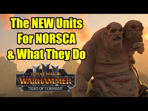 The NEW NORSCA Units & What They Do - Tides of Torment - Total War Warhammer 3 - First Look