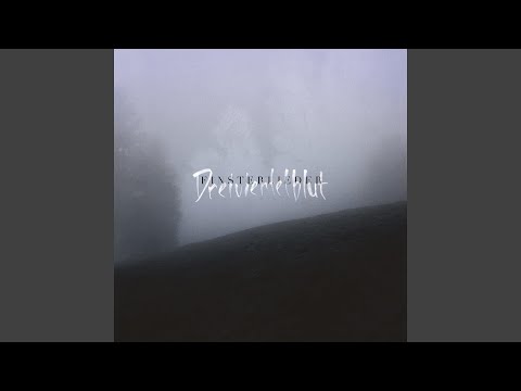 Wuist Du mit mir danzn