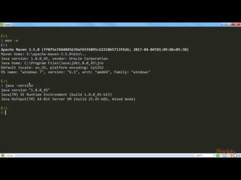 Java Data Sci Soltn Big Data Visualizatn Create Word2vec Neural Net|packtpub com
