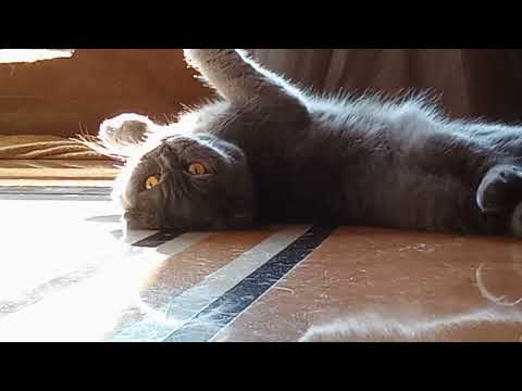 This is How Charmi Wakes Up From Sleep