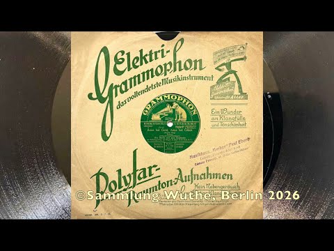 Berlin Danceband: BEN BERLIN - HERMANN BICK: Varsity Drag 1928