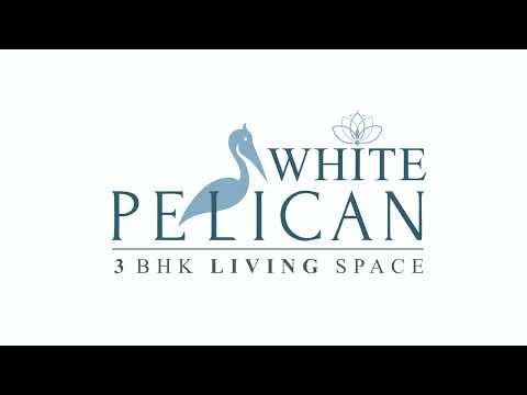 Shilp White Pelican Project Tour 1