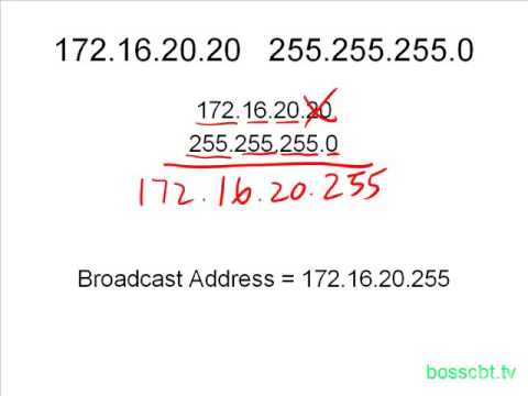 image-What is a subnet calculator?