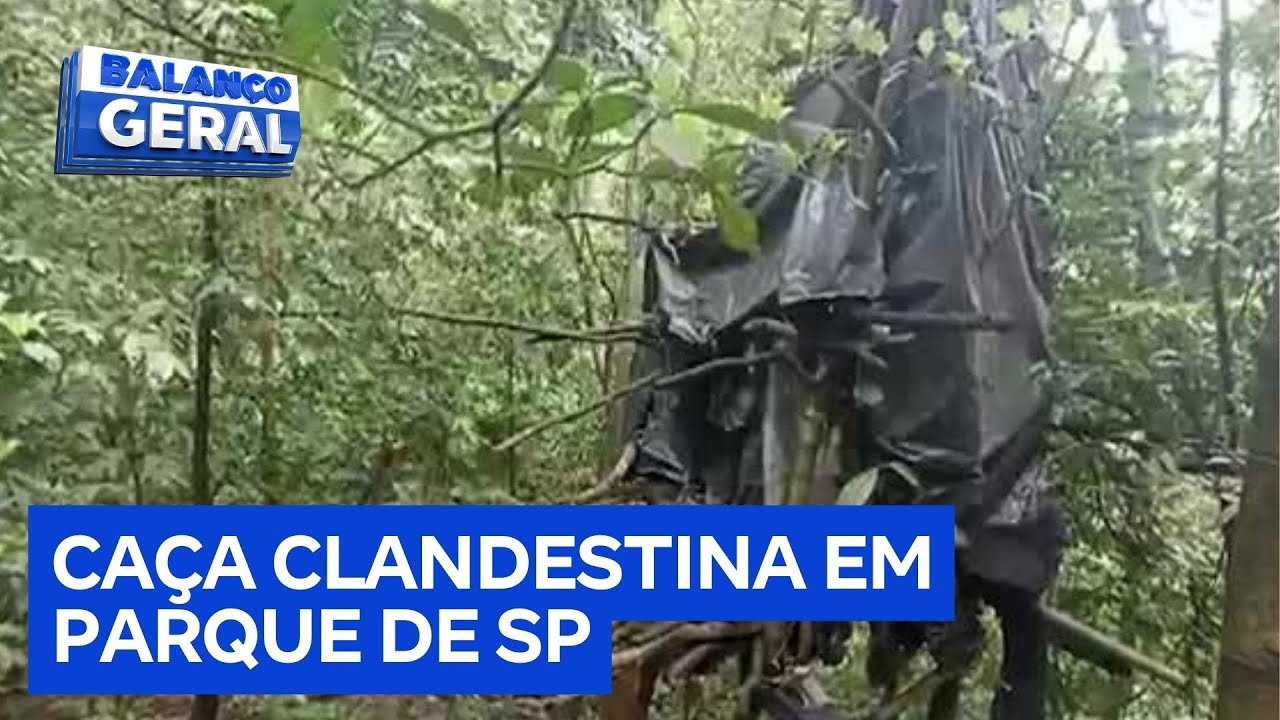 Câmera do Balanço: Caçadores clandestinos instalam armadilhas para animais em parque estadual de SP