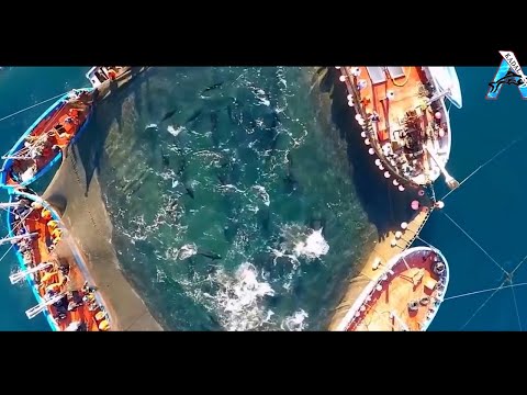 Most Satisfying Fishing Videos || Bluefin Tuna and Swordfish Fishing skill