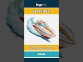 speedboat (noun) - definition and usage in English
