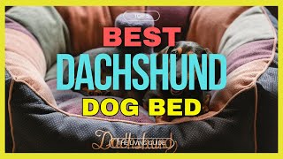 🔥 Best Dog Bed for Dachshund in 2024 ☑️ TOP 5 ☑️
