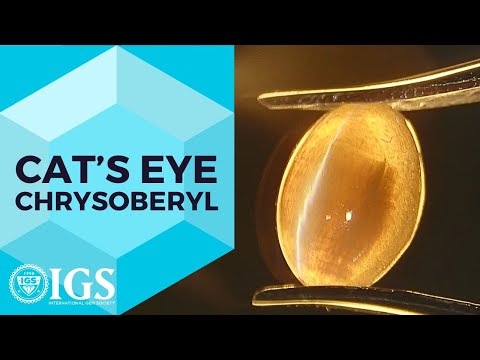 🌟 Uncover the Mysteries of Cat's Eye Chrysoberyl: The Ultimate Gemstone Guide! 💎 #ViralGems
