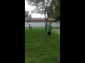 Leapfrog FitMadeFun Day Leapfrog