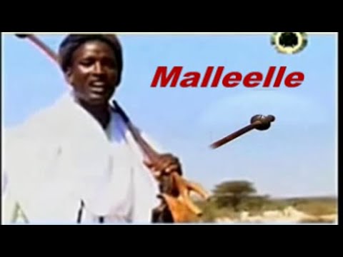 BEST BORANA OROMO || FAARUU LOONII  Malleelle