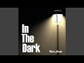 In the Dark