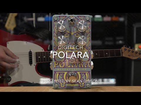 Digitech - Polara (Reverb) with Sean Gibson of The Noise Reel