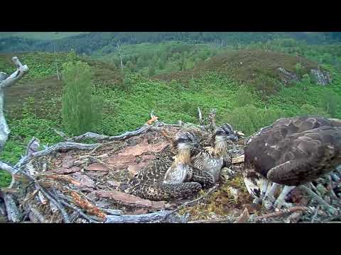 We still want you to feed us!