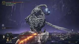 泥濘の騎士 Lv120 加護0 エルデンリング DLC ボス (初攻略時)【ELDEN RING DLC BOSS:Putrescent Knight SOLO】