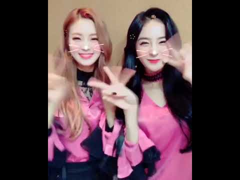 171127 D.ana & Nahyun - Instagram Video