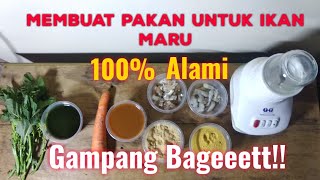 Download lagu Membuat Pakan Untuk Ikan Maru,100% Alami,Gampang Banget mp3