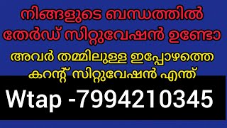 നിങ്ങളുടെ വ്യക്തിയുടെ ജീവിതത്തിൽ തേർഡ് സിറ്റുവേഷൻ അവസാനിച്ചിരിക്കുന്നു.അവർ ശക്തമായ കർമ്മ നേരിടുന്നു