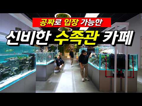 내수면 관상어 비즈니스 센터 탐방기: 경북 상주에서 만난 물과 생명의 새로운 공간